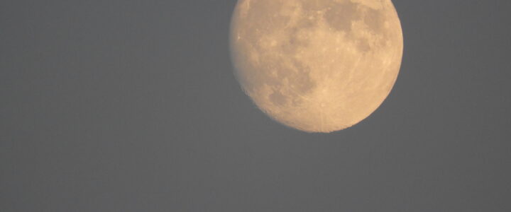 Willkommen – welcome – bienvenue – benvenuto – servus in Mondkind’s Welt des Backens und Kochens